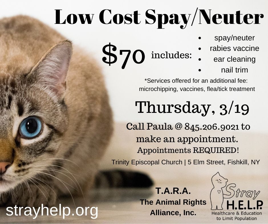 Low-Cost Spay/Neuter Clinic for Cats in Fishkill on March ...