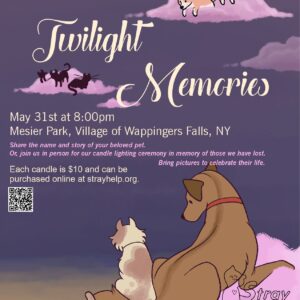 Twilight Memories