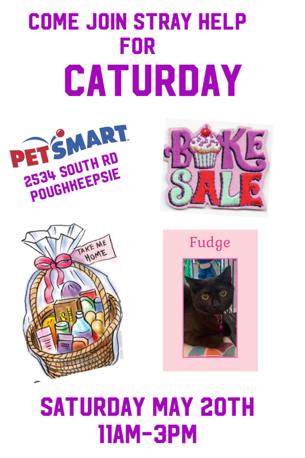 CATURDAY EVENT!