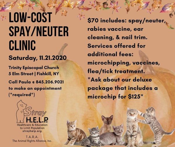 Clinic Info