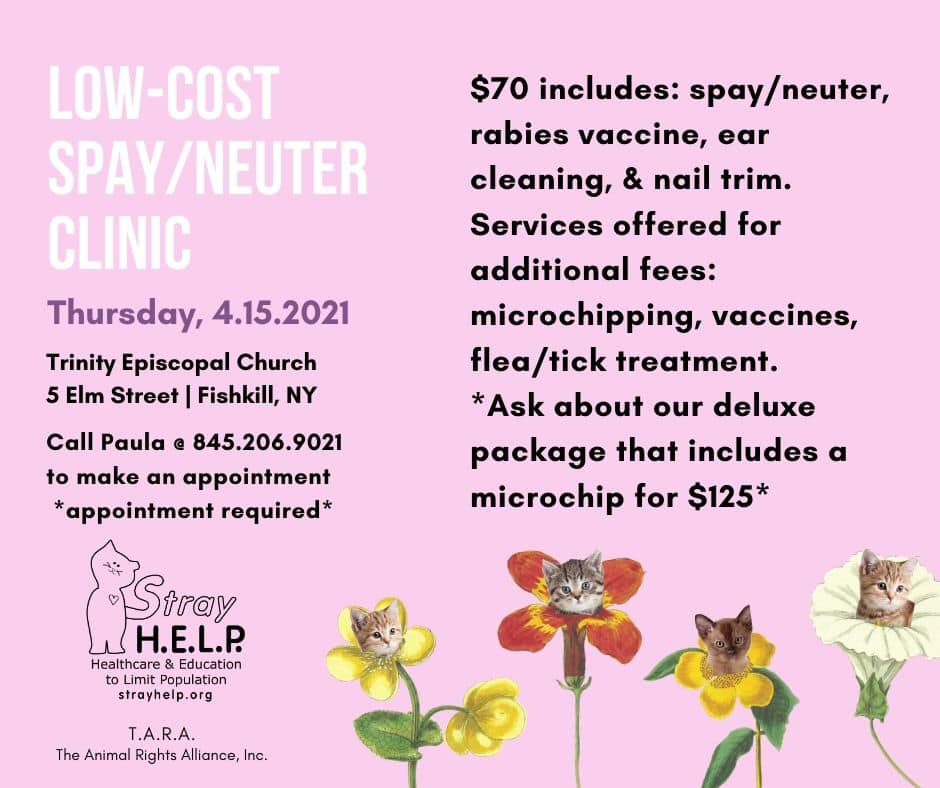Clinic Info