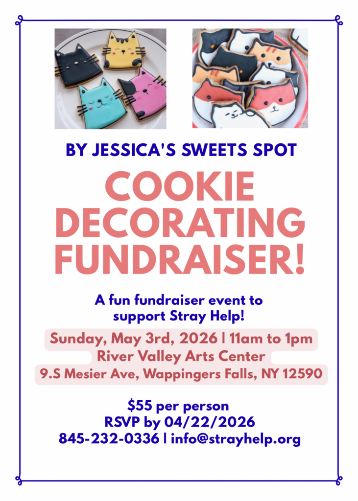 Community cats cookie decorating fundraiser details