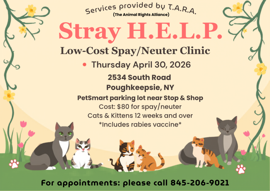 low cost spay neuter clinic for cats Poughkeepsie NY