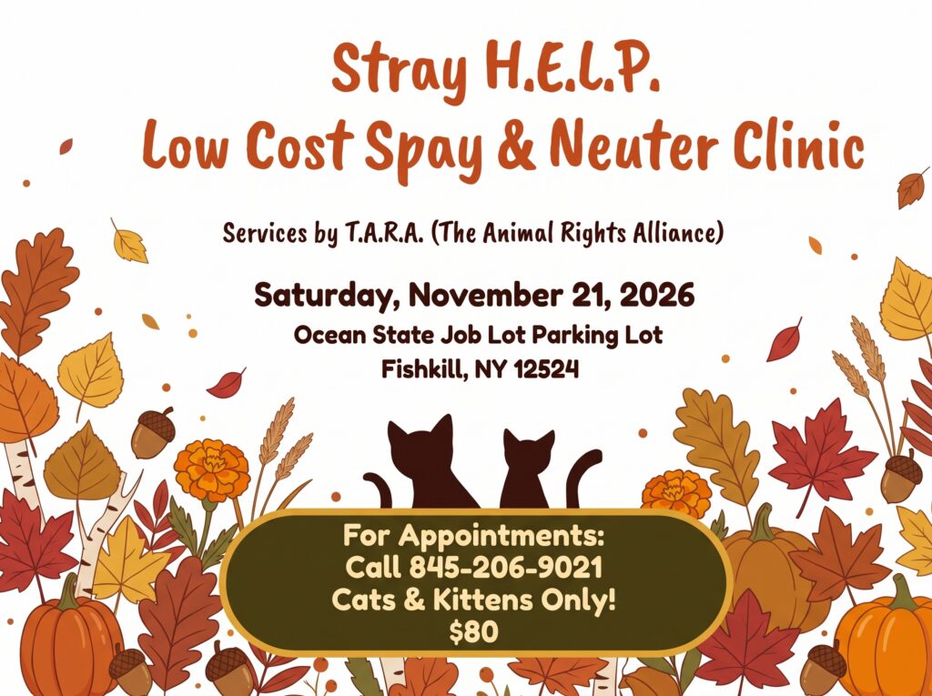 Image of spay/neuter clinic details